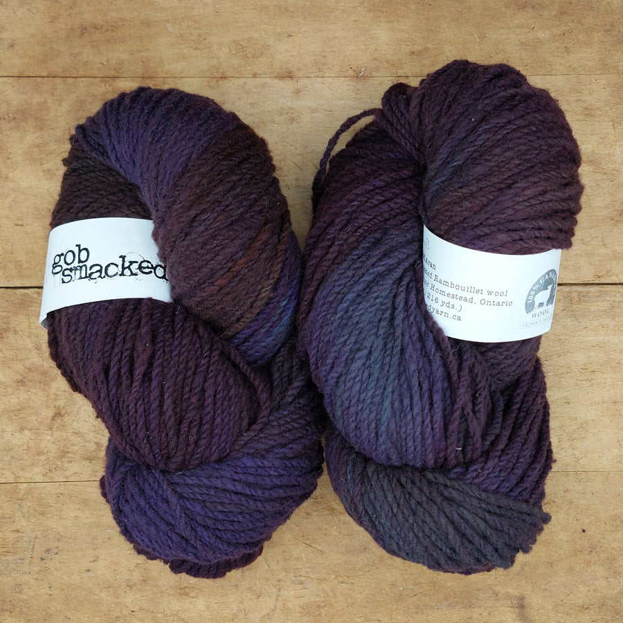 Homestead Aran 112g skein: Eggplants