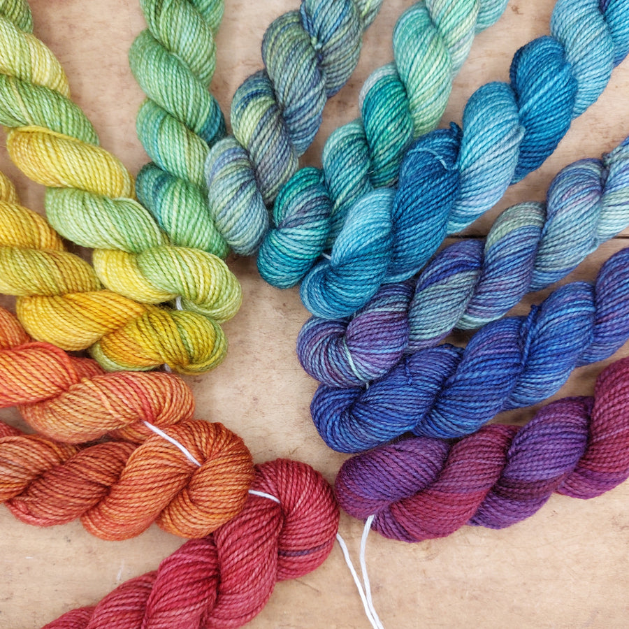 Mini skein set (12x20g BFL/ nylon): Orange You Glad?