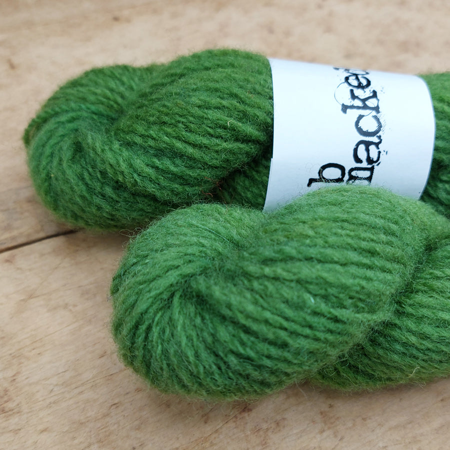 Manitoulin Island 25g skein: String Bean