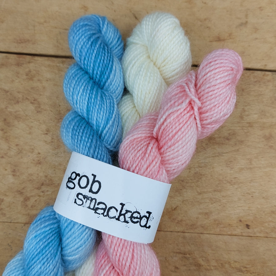 Mini skein set (3x20g BFL/ nylon): Trans Pride