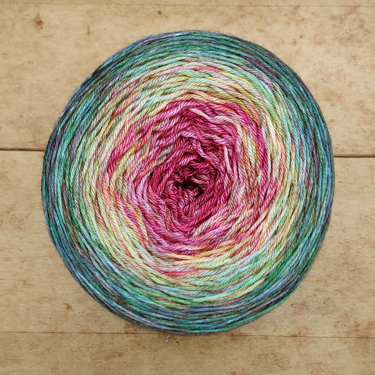 Merino/silk fingering 200g gradient: A Fine-Feathered Thing