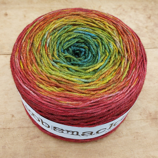 Silky Yak DK 200g gradient: A Long Time Coming