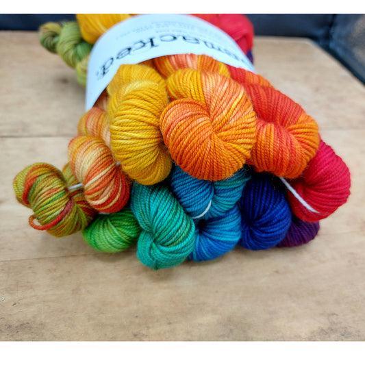 Rainbow mini skein set (12x20g merino nylon light): Alight