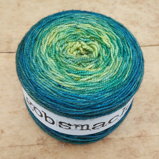 Merino fingering 100g gradient: The Best Bottom Feeders