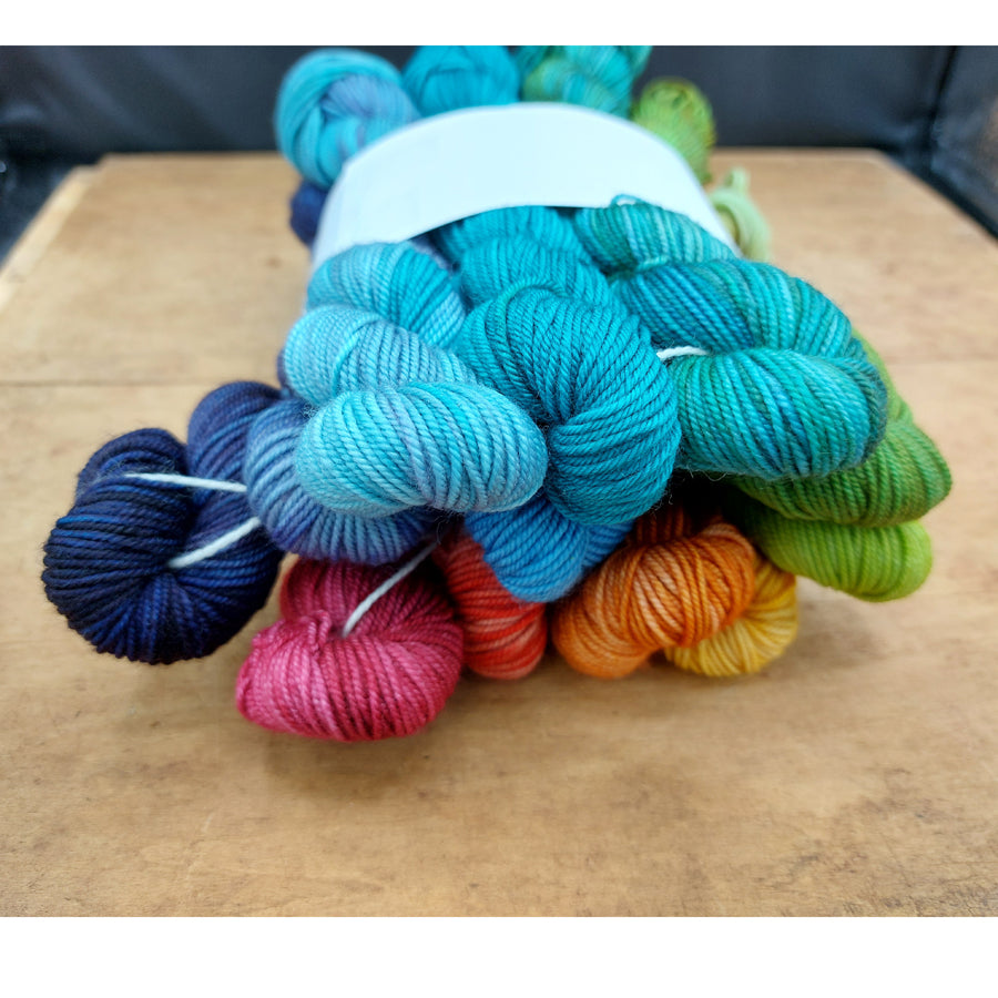 Rainbow mini skein set (12x20g merino nylon light): Bouquet Bunch