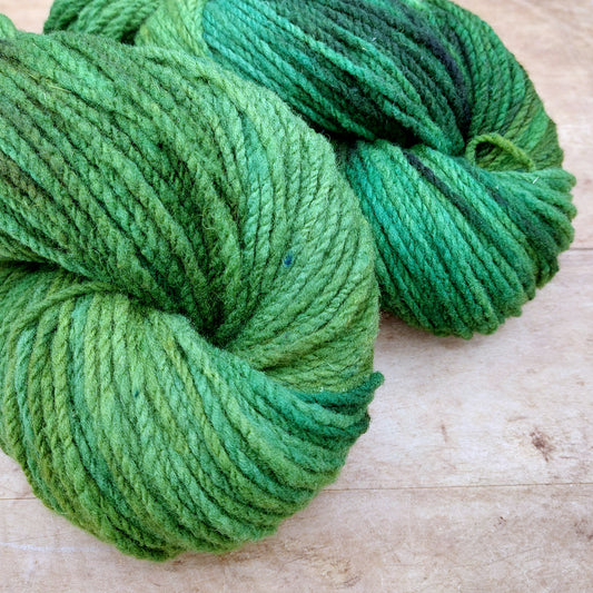 Homestead Aran 112g skein: Deep In the Forest