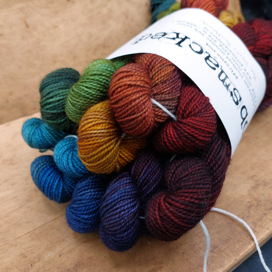 Mini skein set (12x20g BFL/ nylon): The Devil's Paintbrush