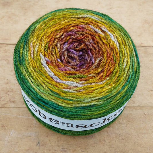 Silky Yak DK 200g gradient: The Field's Finest Friend