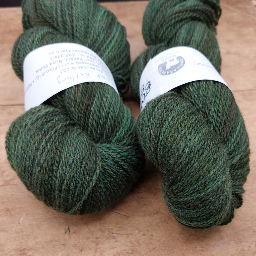Finn Cross 100g skein (Batch 03): Forest Bathing