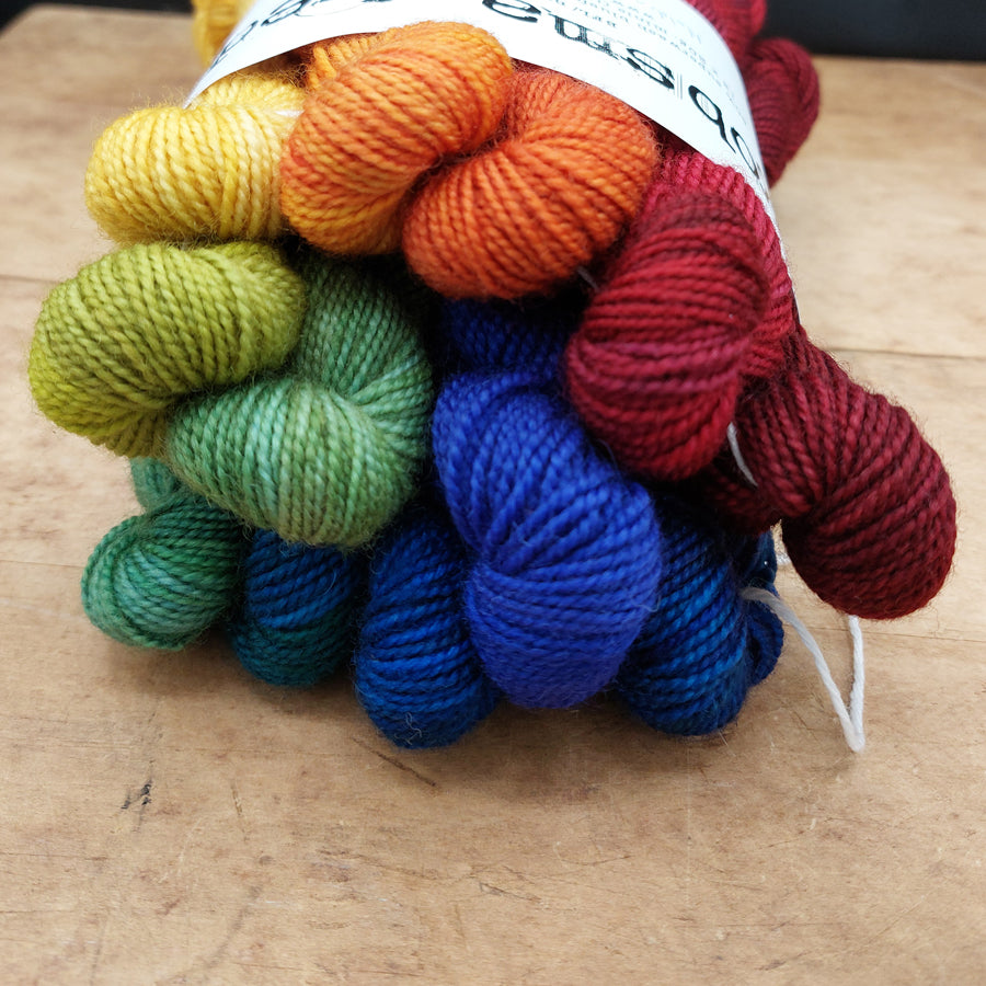 Mini skein set (12x20g BFL/ nylon): Holding Up the Standard