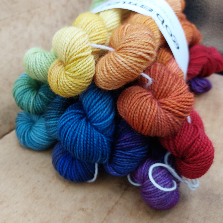 Mini skein set (12x20g BFL/ nylon): I'll Fly Away