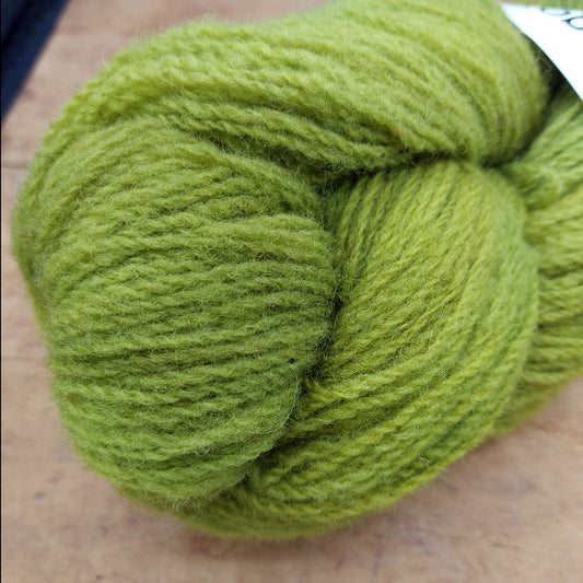 Manitoulin Island 100g skein: Kinda a Big Dill