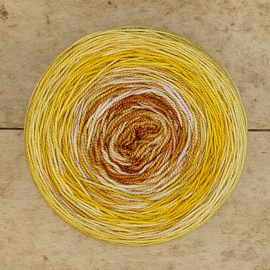 Merino fingering 200g gradient: Lounging Lion