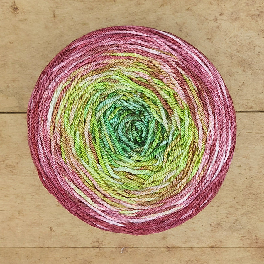 Merino/silk DK 200g gradient: Planning Ahead For the Garden