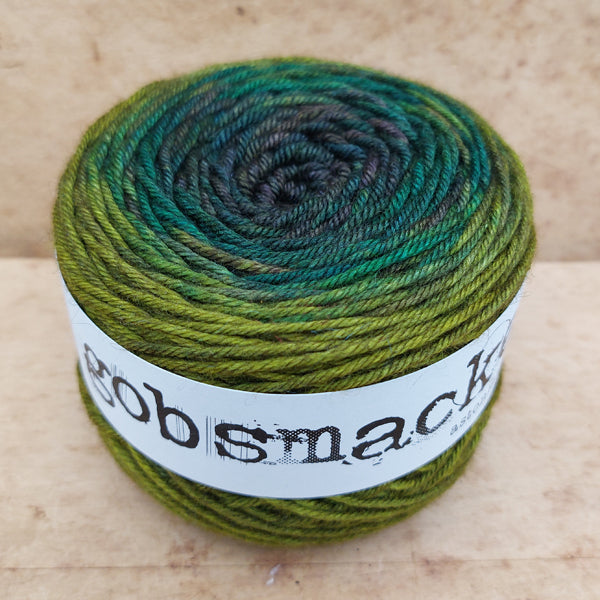 Silky Yak DK 100g gradient: Planted Deep