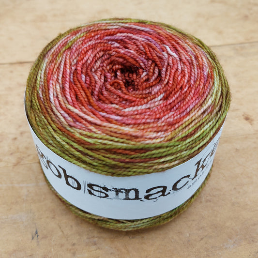 Merino fingering 100g gradient: Reading Fluently From the Land