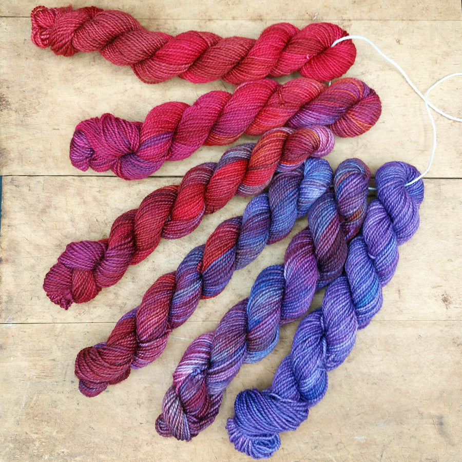 Mini skein set (6x20g): Roustabout the Roost