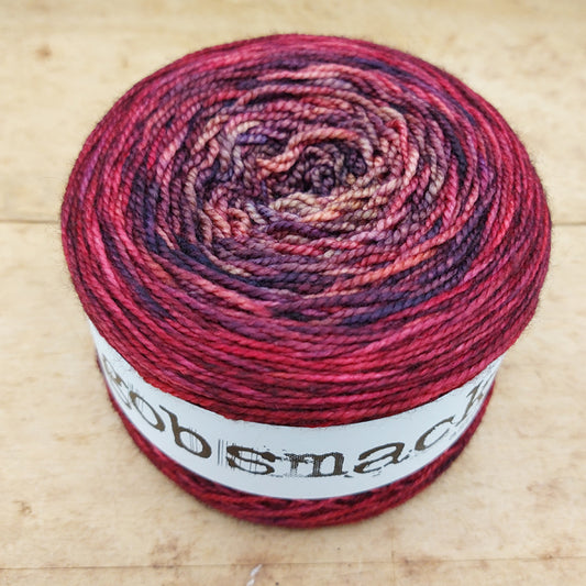 Merino fingering 100g gradient: Rumble That Roost