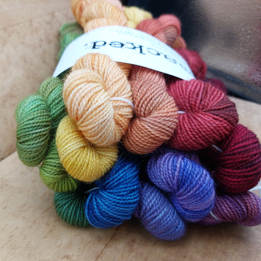 Mini skein set (12x20g BFL/ nylon): Sing It Along Nicely