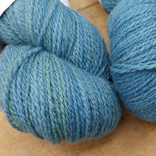 Finn Cross 100g skein (Batch 05): Slow Bird