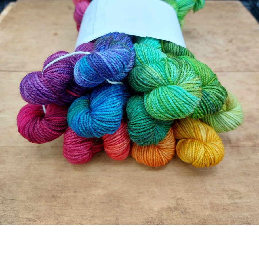 Rainbow mini skein set (12x20g merino nylon light): Spread the Love