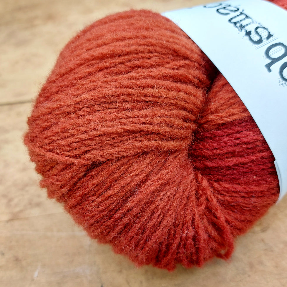 Manitoulin Island 100g skein: Sundried Tomato