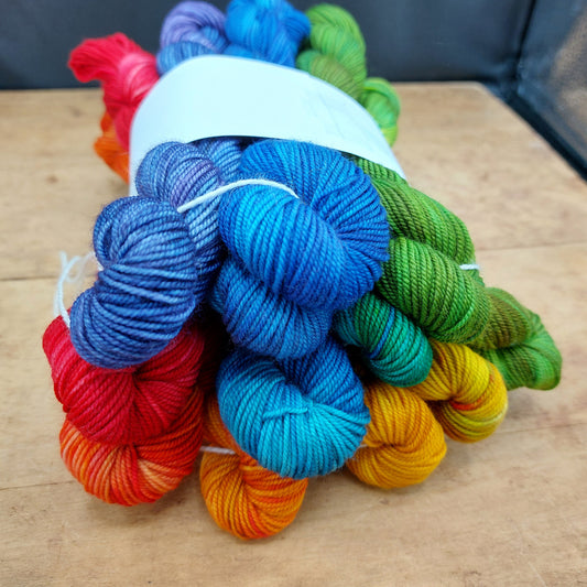 Rainbow mini skein set (12x20g merino nylon light): The Whole World