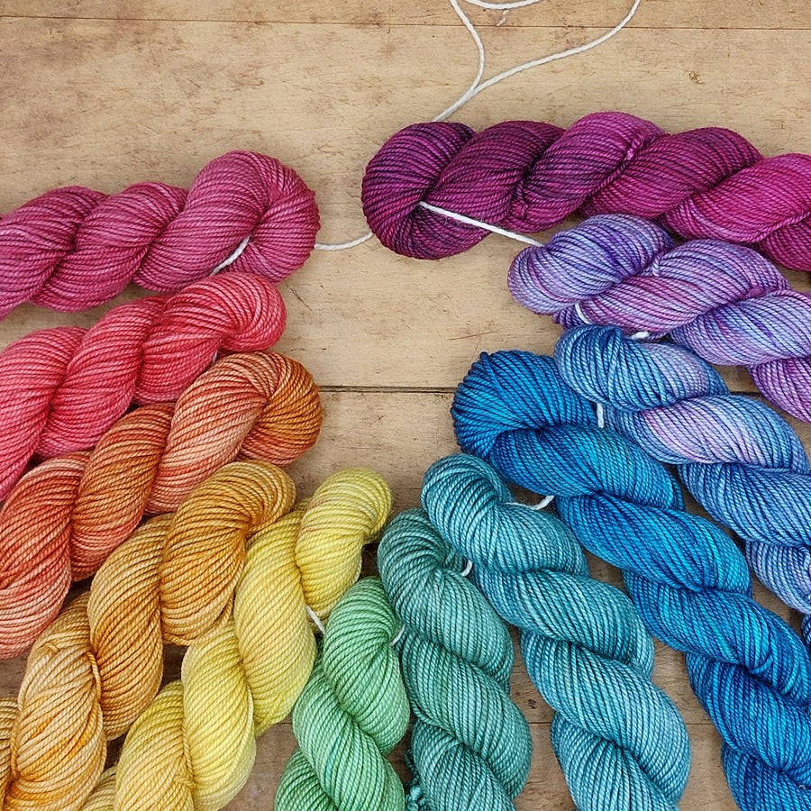 Rainbow mini skein set (12x20g merino nylon light): We've Always Been Here